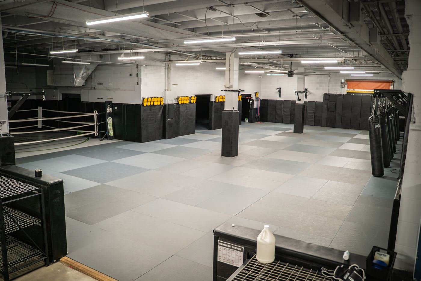 Main training mat with boxing ring and heavy bags