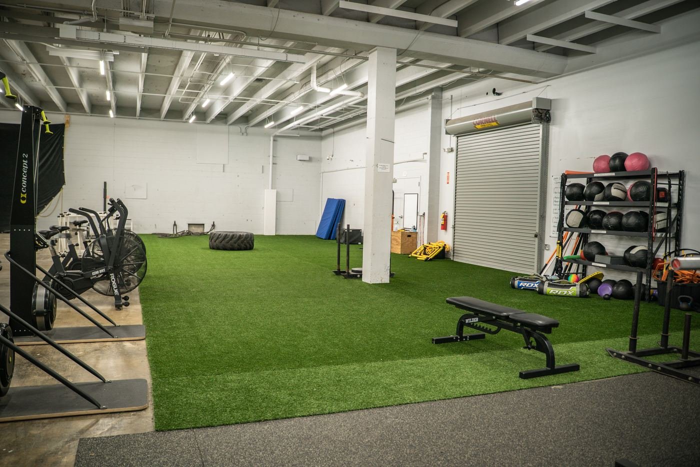Turf area with bikes, rower, sleds and medicine balls
