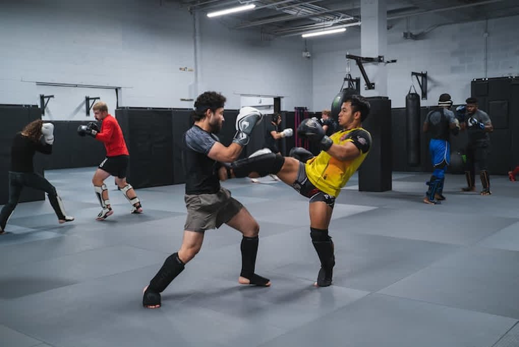 Mixed Martial Arts